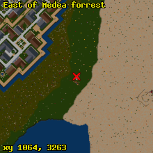 East of Medea forrest