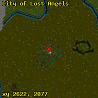 City of Lost Angels