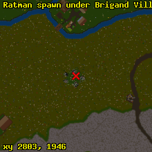 Ratman spawn under Brigand Village