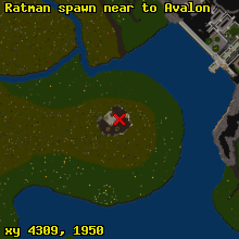 Ratman spawn near to Avalon