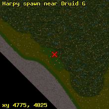 Harpy spawn near Druid G