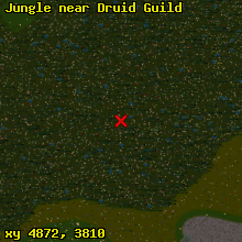 Jungle near Druid Guild