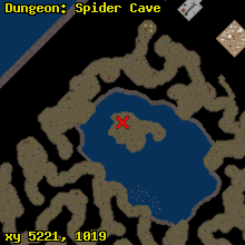 Dungeon: Spider Cave