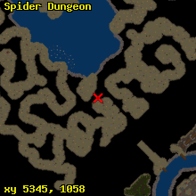 Spider Dungeon