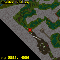 Spider Valley